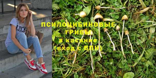 соль ск Волоколамск